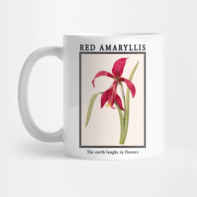 Flowers - Amaryllis by j.adevelyn